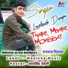 About Thari Mhari Mohbbat Song