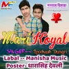 About Ari Mari Koyal Song