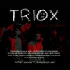 About Triox Song