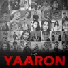 About Yaaron Song