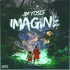 About Imagine Song