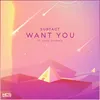 About Want You Song