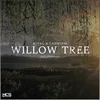 About Willow Tree Song