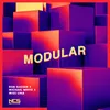 About Modular Song