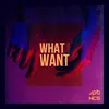 About What I Want Song