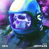About LEVITATE Song