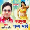 About Balamua Pump Mare Song