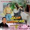 About Jaan Labhu Ka Song