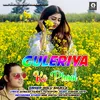 About Guleriya Ke Phool Song