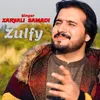About Zulfy Song