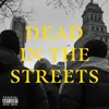 About Dead in the Streets Song