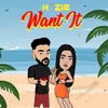 About Want It Song