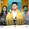 About Dil Dukhda Song