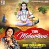 About Teri Meharbani Song