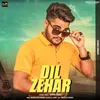 About Dil Zehar Song