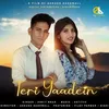 About Teri Yaadein Song