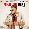 About Whatchu Want Song