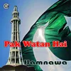 About Pak Watan Hai Song