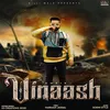 About Vinaash Song