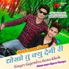 About Dhokho Tu Kyo Degee Ree Song