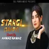 About stargi Song