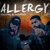 About Allergy Song