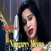 About Nimgaray Meena Song