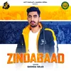 About Zindabaad Song