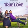 About True Love Song