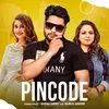 About Pincode Song