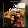 About Dil Chahida Song