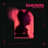 About Dawn Song