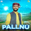About Pallnu Song