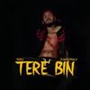 About Tere Bin Song