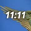 11:11