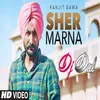 About Sher Marna - Remix Song