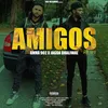 About Amigos Song