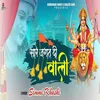About Sare Jagat Di Wali Song