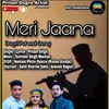 About Meri Jaana - Dogri Pahadi Song Song