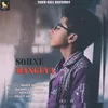 About Sohne Rangiya Song