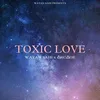 About Toxic Love Song