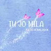 About Tu Jo Mila Song