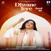 About Diwane Tere Song