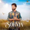 About Sohnya Song