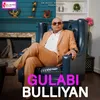 About Gulabi Bulliyan Song