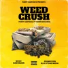 About Weed Crush Song