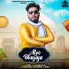 About Aloo Bhujiya Song