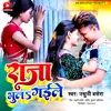 About Raja Bhul Gaila Song