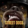 About Street Dogs Song