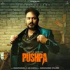 About Pushpa Song